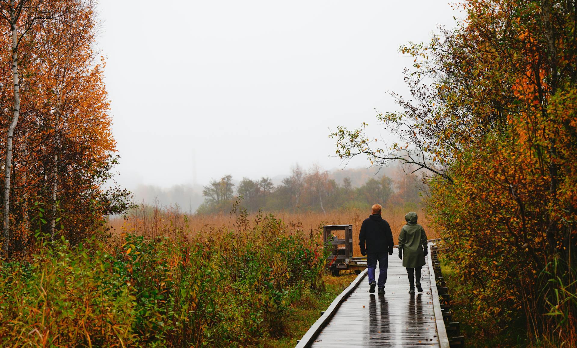 การออกกำลังกายเพื่อสุขภาพหลอดเลือด